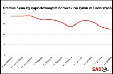 borówki ceny 2023/2024