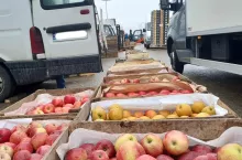 ceny jablek na broniszach