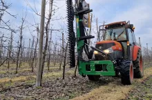 koszt cięcia mechanicznego sadu