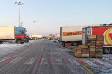 hurtowe ceny jabłek