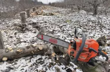 Markowa piarka do 1000 zł