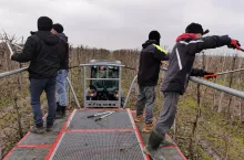 cięcie sadu aktualne dniowki