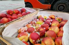 ceny owoców na rynku hurtowym