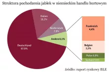 gala na niemieckich rynkach hurtowych