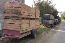 skup jabłek przemysłowych