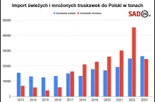 import truskawek do Polski
