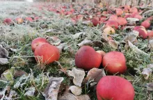 jesienne przymrozki 2023