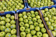 ceny jabłek na niemieckich rynkach hurtowych