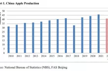 produkcja jabłek w chinach