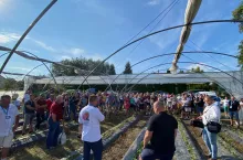 Adam Borzęcki (Boryna) omawiający niuanse technologii bezglebowej uprawy malin