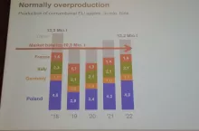 Równowaga rynkowa dla produkcji jabłek w UE - slajd z prezentacji Helwiga Schwartau