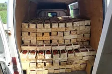 zaniżanie cen truskawek w hurcie