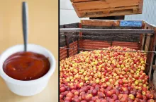 jabłka ketchup