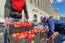 jabłka ministerstwo