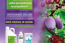 Vouchery na dzień kobiet