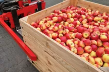 szmapion na przemysł