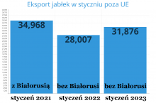 Dane: PIORiN. Opracowanie własne