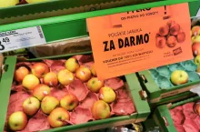 jabłka za darmo