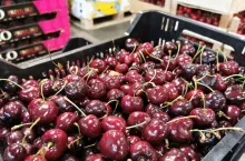 importowane czereśnie