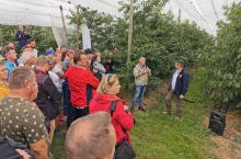 Letnie Pokazy Czereśniowe 2022