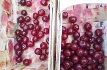 pestki z wiśni na opał