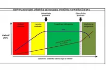 Rys. 1. Wpływ zawartości składnika odżywczego na wielkość plonu