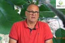 dr krzysztof gasparski