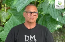 Krzysztof Gasparski Procam