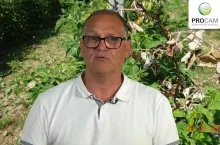 komunikat jagdoowy procam