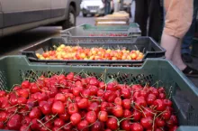 bronisze import owoców