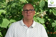 komunikat jagodowy procam