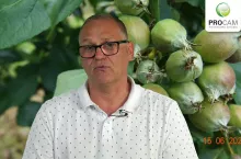 Krzysztof gasparski procam