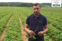 komunikat-dla-truskawek