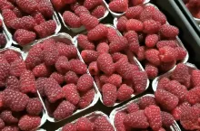 polskie maliny ceny w hurcie