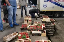 polska truskawka jest fałszowana