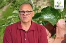 komunikat sadowniczy, krzysztof gasparski