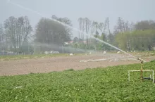 wyjątkowo suchy maj