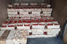 ceny truskawek w hurcie