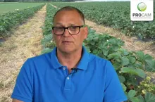 Krzysztof Gasparski - Procam Polska