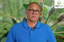 Krzysztof Gasparski komunikat sadowniczy