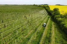 powierzchnia uprawy w Polsce