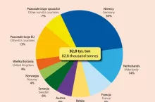 Struktura eksportu mrożonych truskawek z Polski w 2021 roku