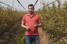 Tomasz Domański - Agrosimex