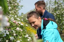 komunikat sadowniczy Timac Agro