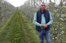 Robert Binkiewicz - komunikat sadowniczy dla grusz 04.05.2022 - Agrosimex - Doradca Sadowniczy