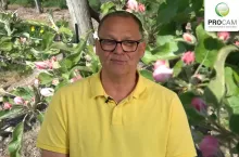 komunikat sadowniczy