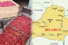 Białorus jabłka