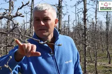 komunikaty sadownicze