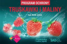 program ochrony