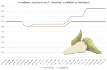 konferencja bronisze